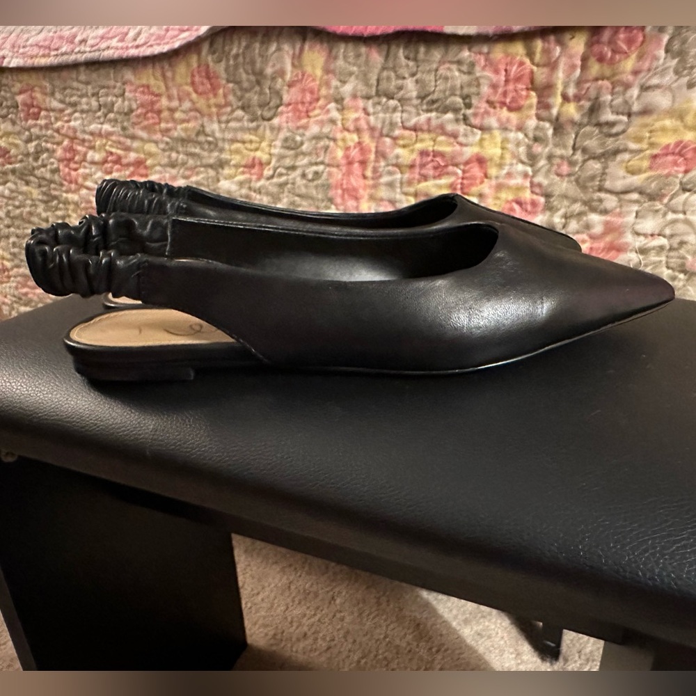 NWOT - Sam Edelman Whitney Pointed Toe Flats